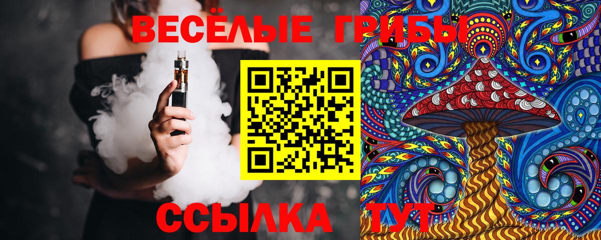 Галлюциногенные грибы Magic Shrooms  Псилоцибиновые грибы Cubensis  Кинель  Вход с VPN 